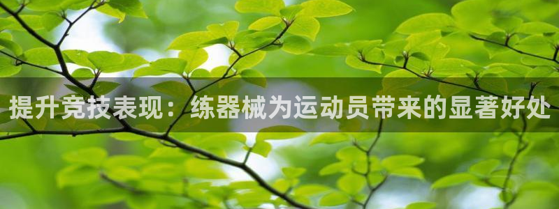 尊龙凯时取款24小时不到账：提升竞技表现：练器械为运