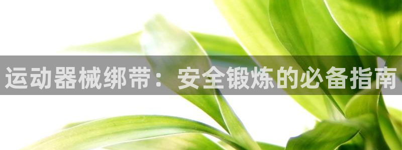 尊龙新版app：运动器械绑带：安全锻炼的必备指南