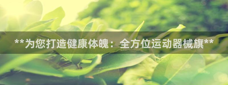 尊龙凯时法充十万返现多少：**为您打造健康体魄：全方位运动器