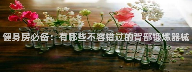 尊龙网站注册网：健身房必备：有哪些不容错过的背部锻炼