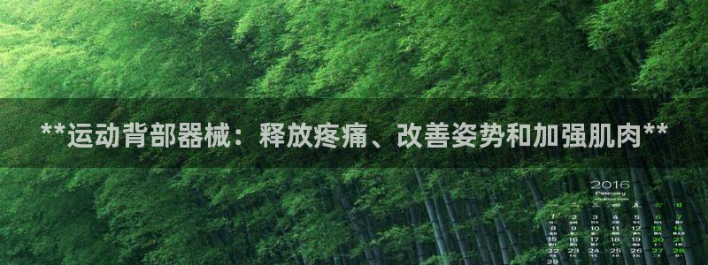 尊龙d88平台版下载：**运动背部器械：释放疼痛、改