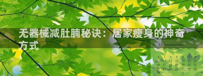 凯时登录：无器械减肚腩秘诀：居家瘦身的神奇
方式